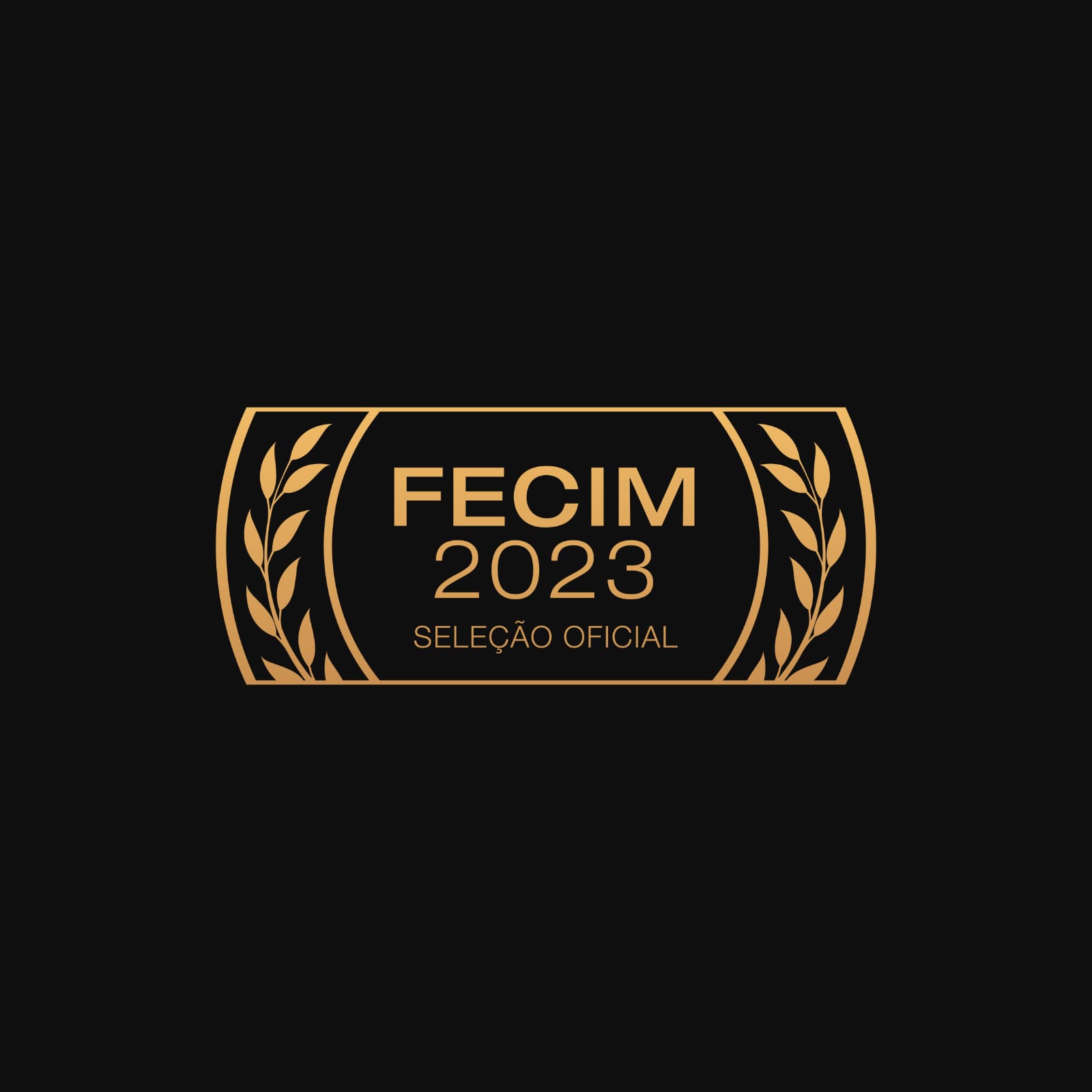 Confira os filmes selecionados do 12º FECIM